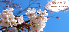 春桜３