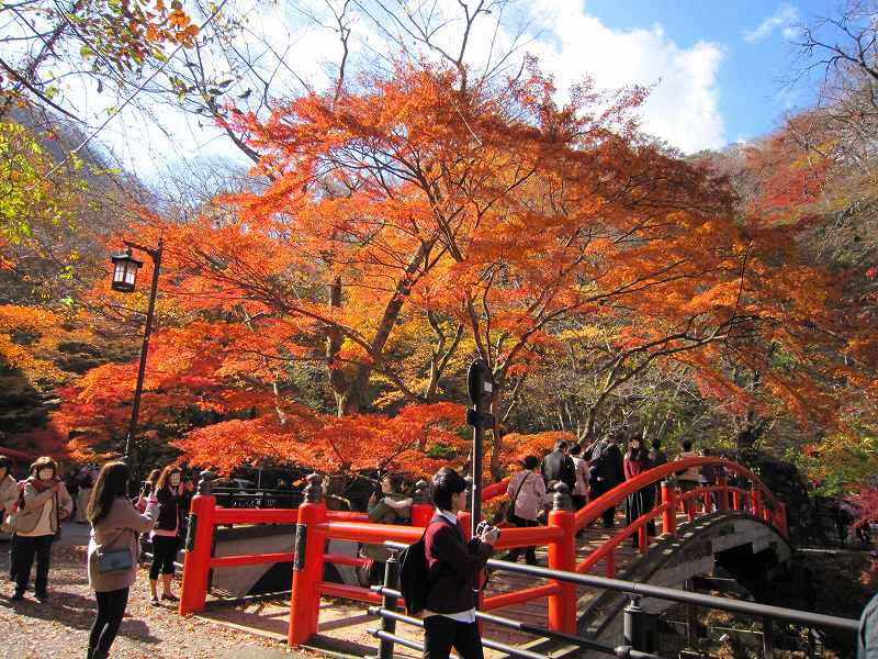 紅葉の様子です 17年11月9日伊香保河鹿橋 群馬県伊香保温泉石段街坂下の宿 温泉旅館ホテルニュー伊香保 公式ホームページ 最低価格保証