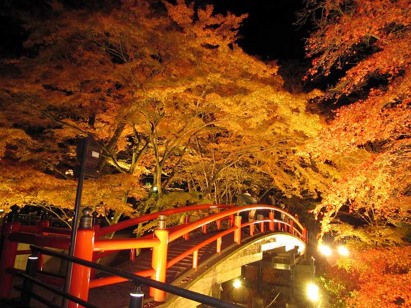 伊香保温泉河鹿橋のライトアップは10月22日から始まります 群馬県伊香保温泉石段街坂下の宿 温泉旅館ホテルニュー伊香保 公式ホームページ 最低価格保証