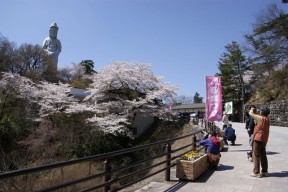 春の観音山（高崎市）写真館 　春