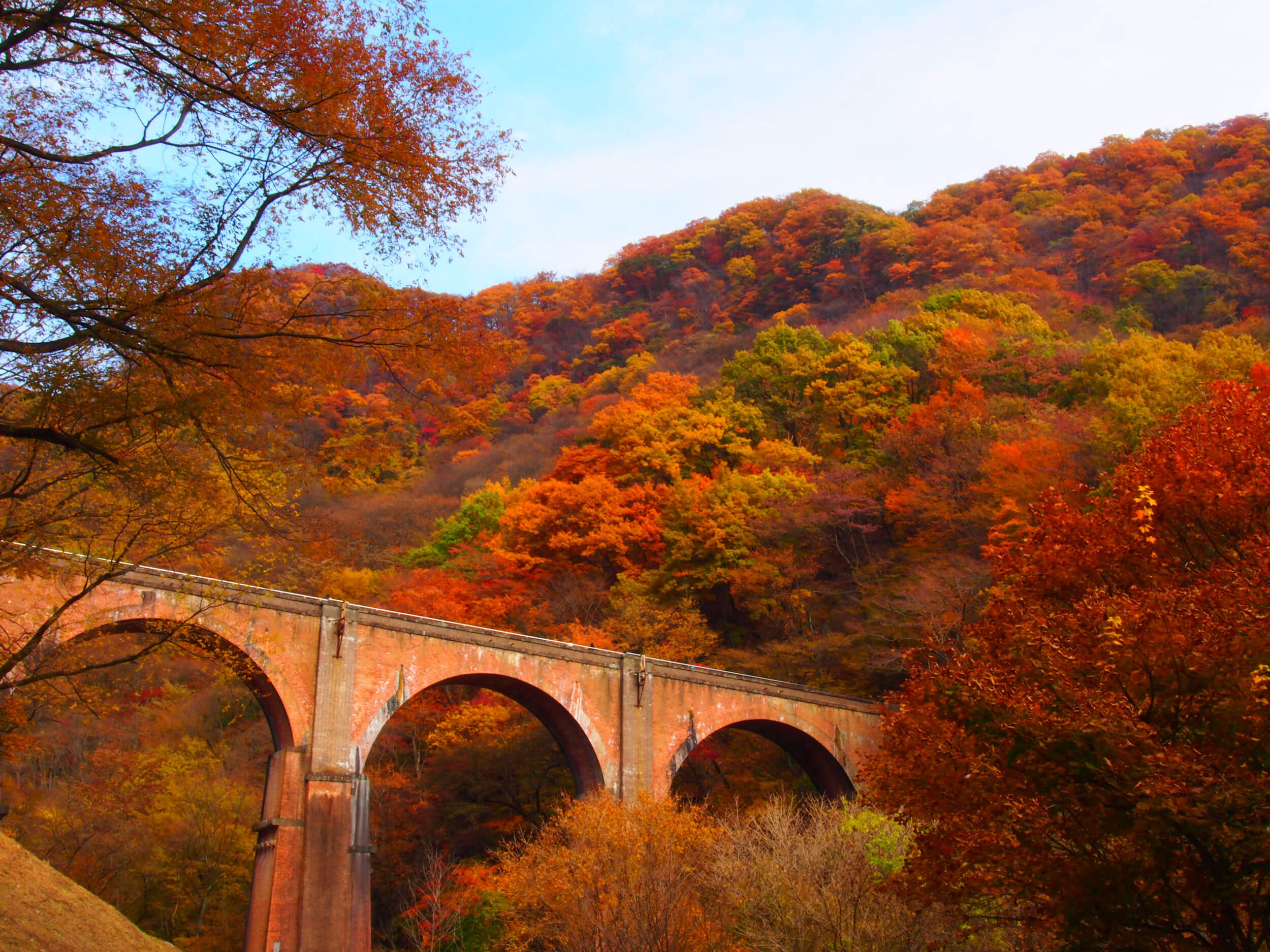 dc34f6779f0581f86dd207530b96d4