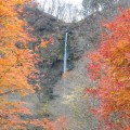 船尾滝　紅葉（3）（吉岡町）