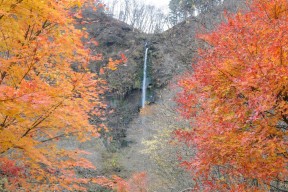 船尾滝　紅葉（3）（吉岡町）