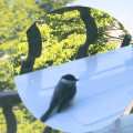 幸せ鳥