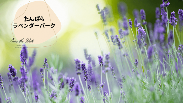 ラベンダーパーク