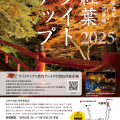 2025紅葉河鹿橋